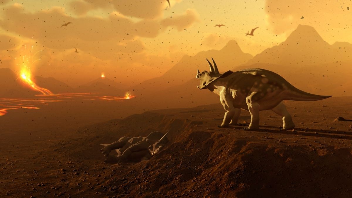 All Species on Earth Are Now Extinct